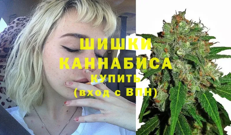 Бошки марихуана THC 21%  Вязьма 